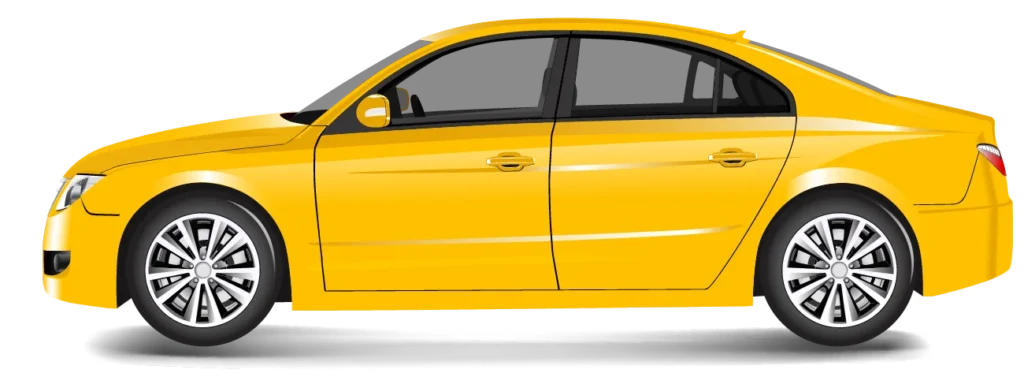 50-1024x388