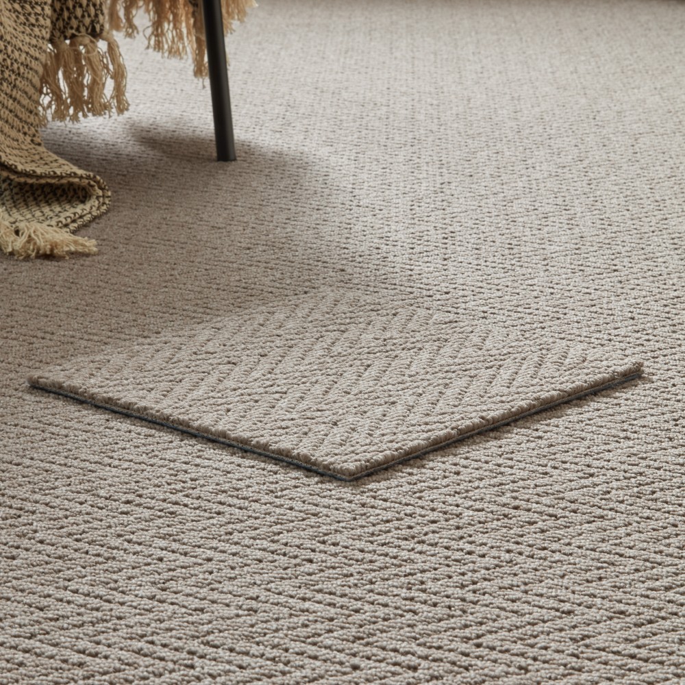 Shining Fiber Carpet House 02