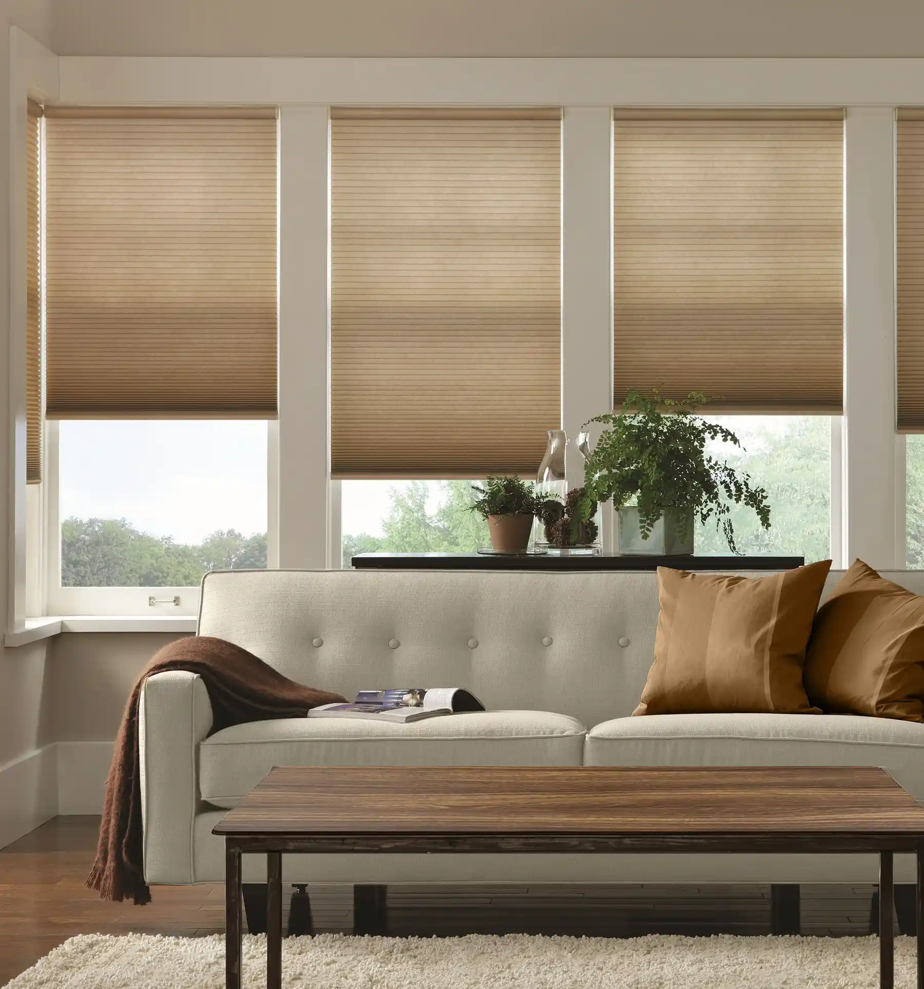 Blindsgalore Classic Cordless Light Filtering Cellular Shades