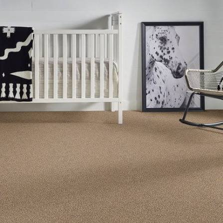 Frieze Carpets