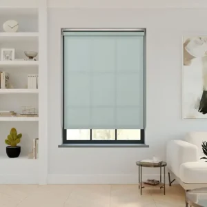 Burst Duckegg Roller Blind