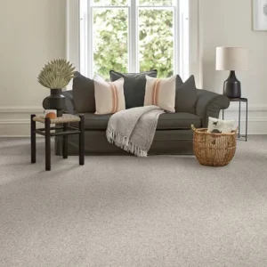 Royal Charter Berber Deluxe Wool Carpet