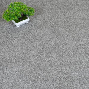 Dove Grey Saxony Carpets