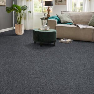 Rich Grey Twist Carpets