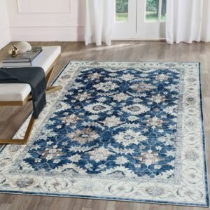 Silk Road Jurdar Rug