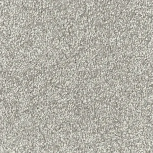 Silver Grey Carpet